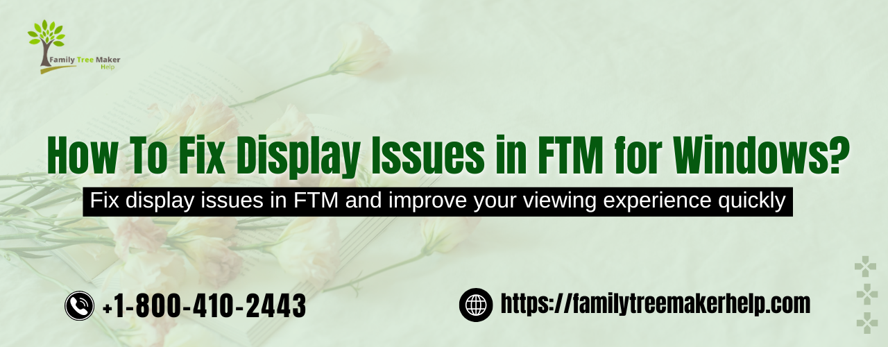 How To Fix Display Issues in FTM