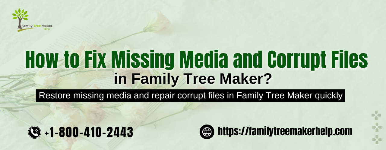 Fix Missing Media and Corrupt Files