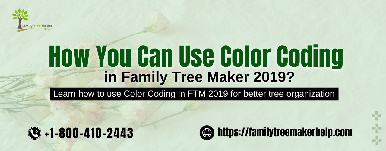 Color Coding In Family Tree Maker 2019