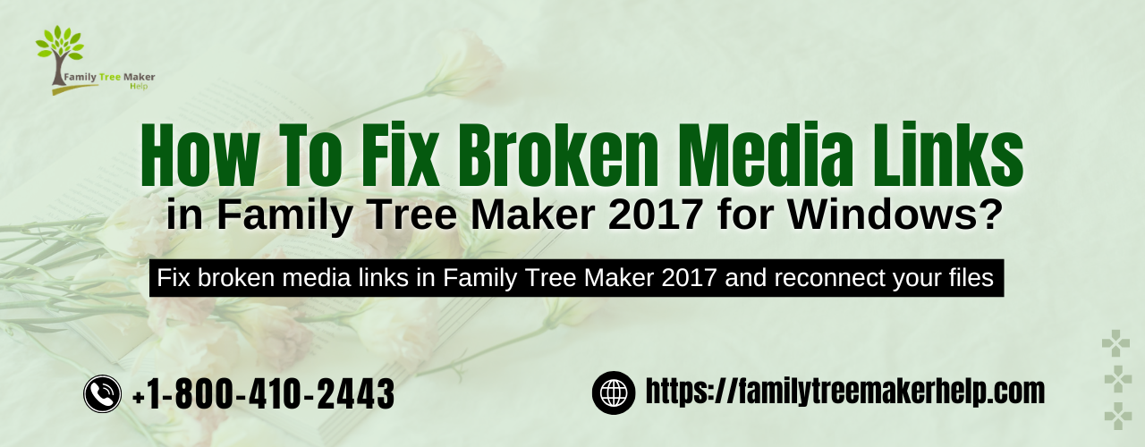 fix broken media links