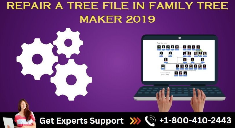 repair a tree file in family tree maker 2019