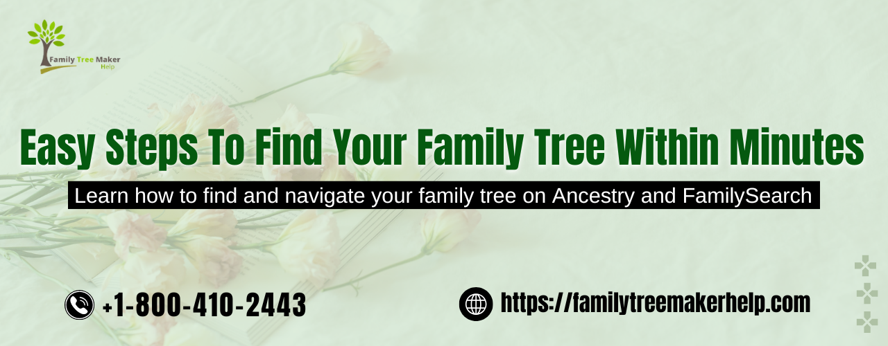 How To Find Your Family Tree