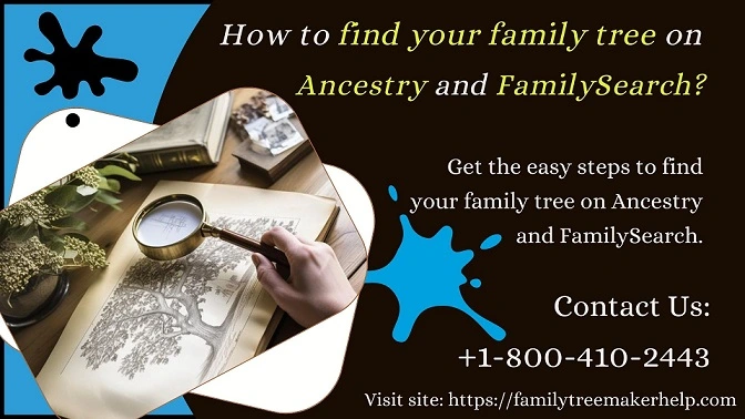 how to find your family tree