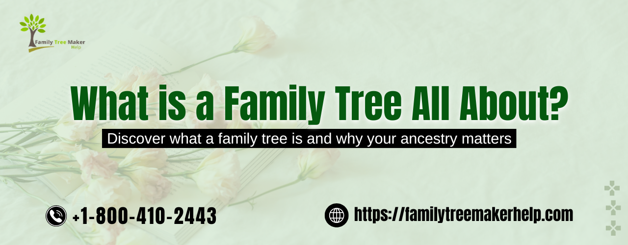 What is Family Tree