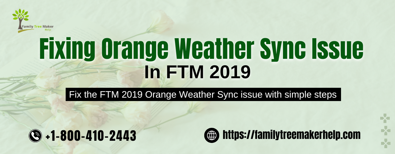 Fix Orange Weather Sync Issue In FTM 2019