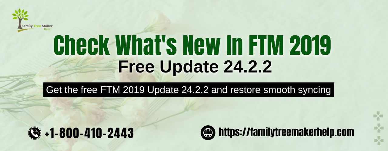 FTM 2019 Free Update 24-2-2