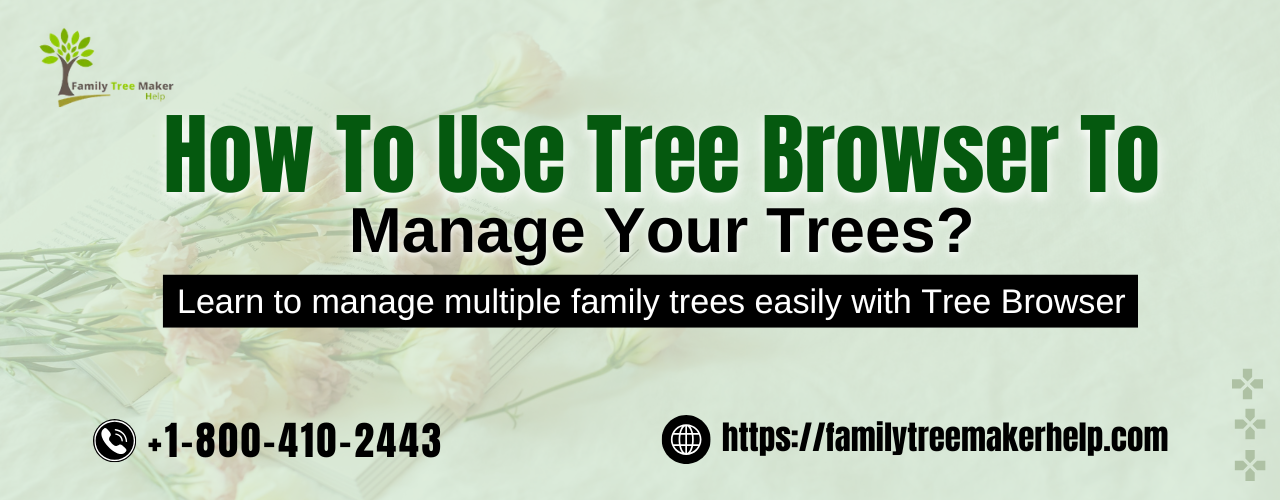 How To Use Tree Browser To Manage Your Trees?
